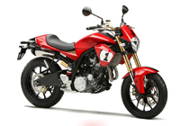 Derbi Mulhacen Cafe 659 2008